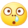 ic_faceimg1