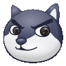 ic_faceimg12