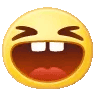 ic_faceimg15