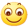 ic_faceimg165