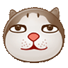 ic_faceimg61